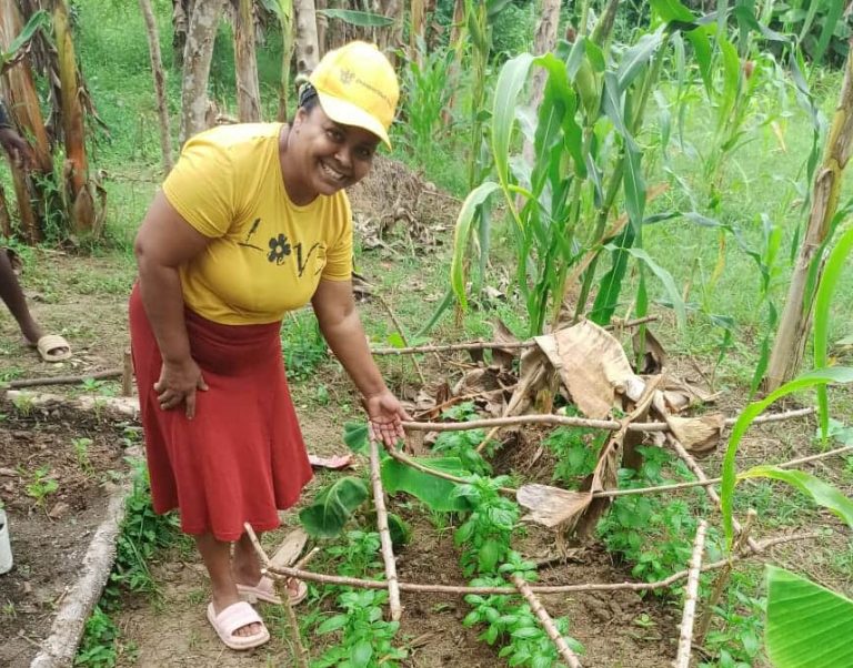 Entrega-produccion-de-alimentos-Bolivar