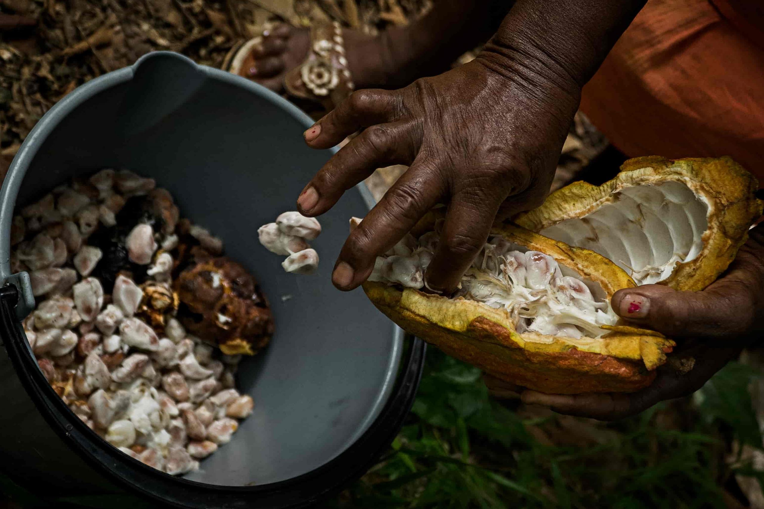 Tumaco_Río Mejicano