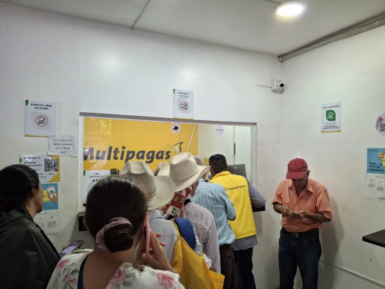 Renta Ciudadana y Devolución del IVA-Casanare