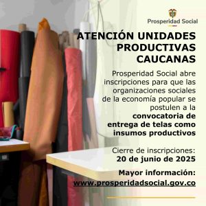 Pieza Cauca Donaciones-min