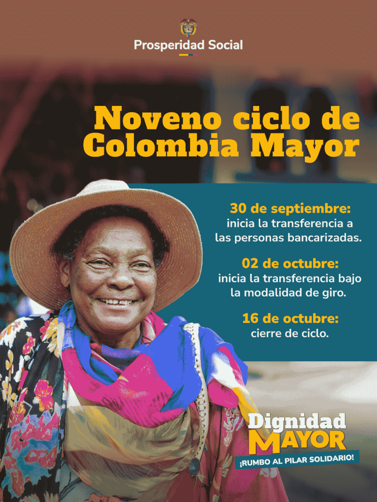 Noveno ciclo
