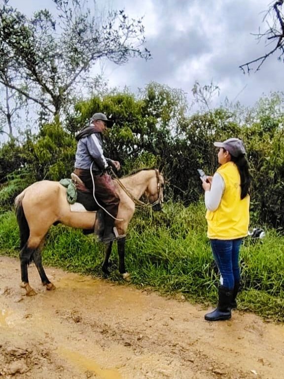 Cauca (16