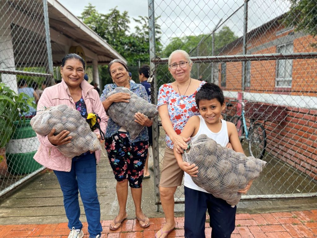 Entrega de papa en Cundinamarca