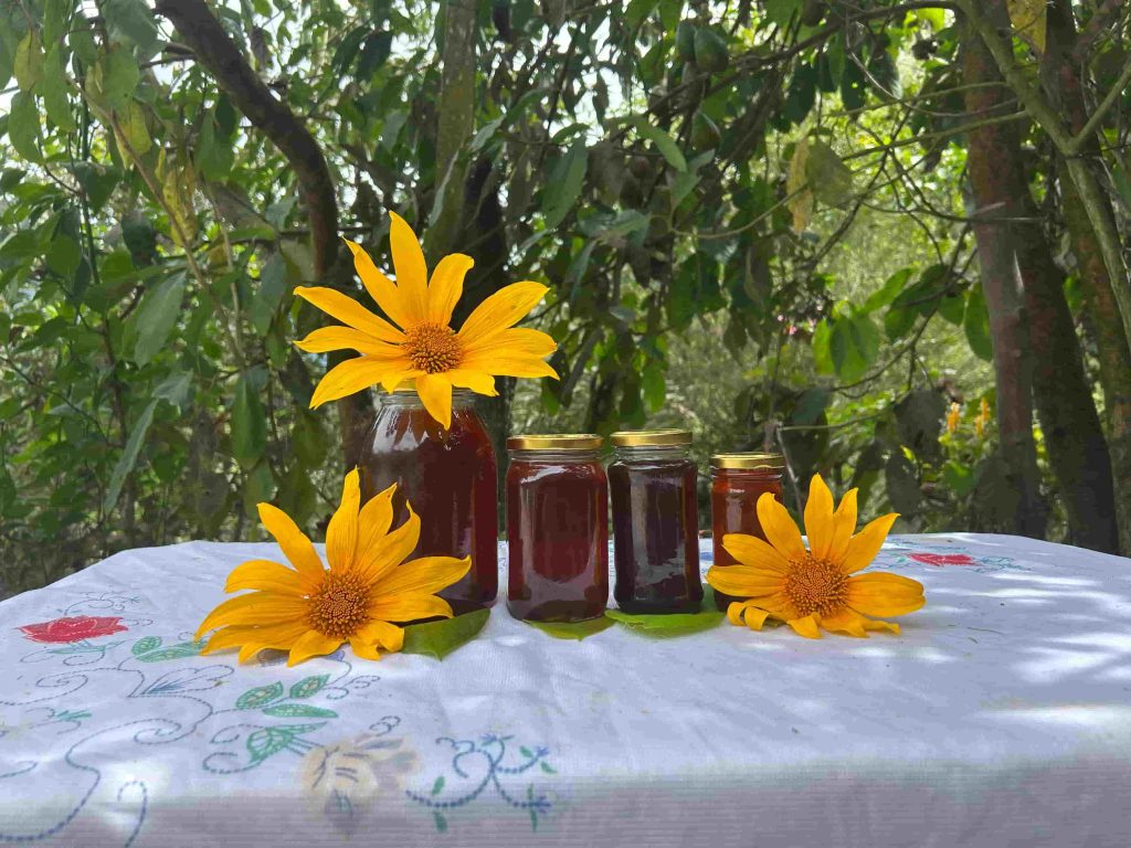 Cundinamarca-Ecoovida (2)