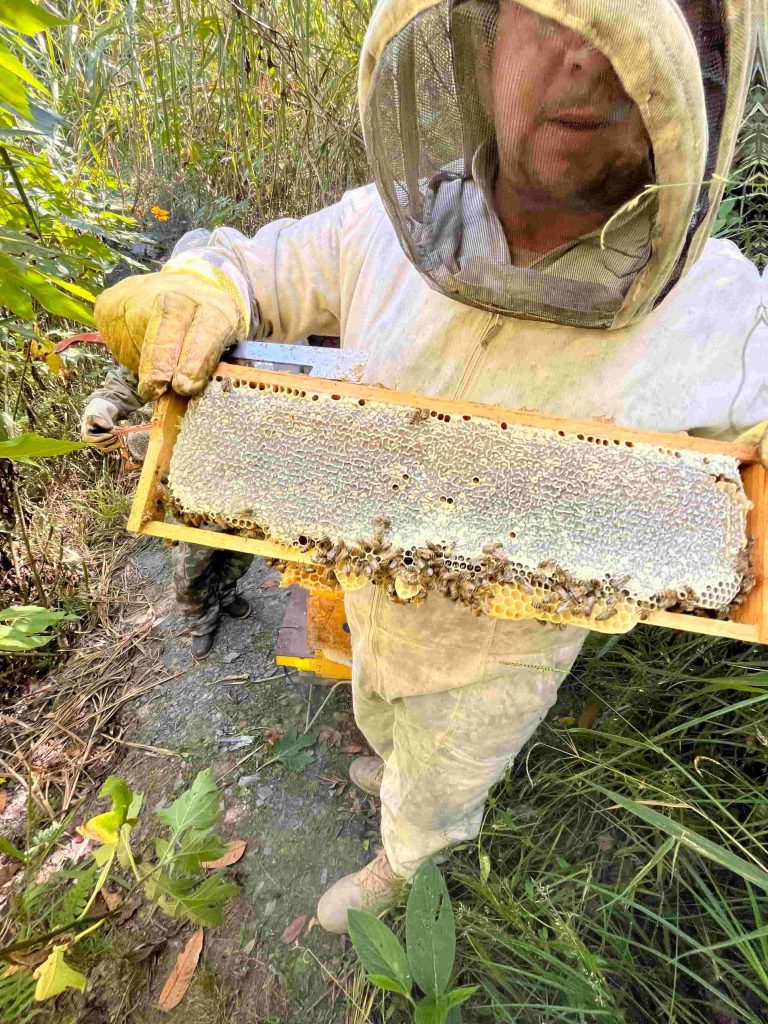 Cundinamarca-Ecoovida (3)