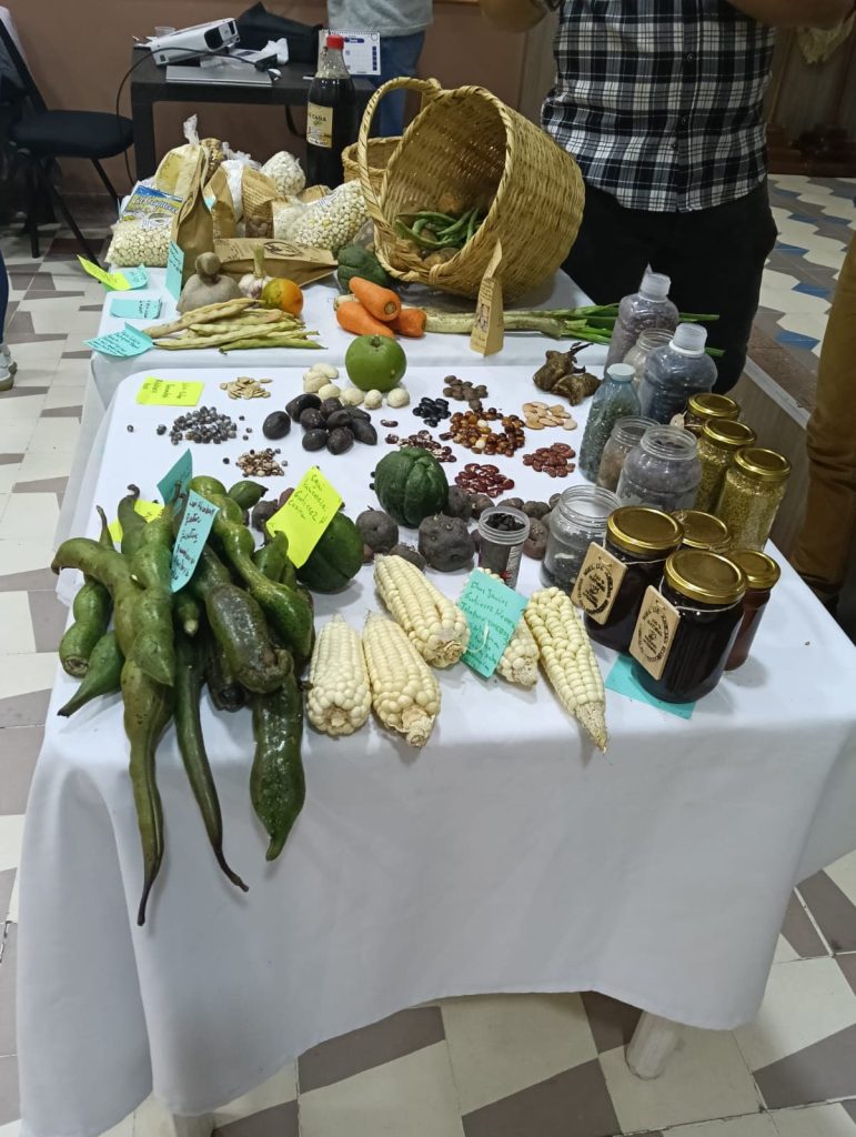 Cundinamarca-Ecoovida (4)