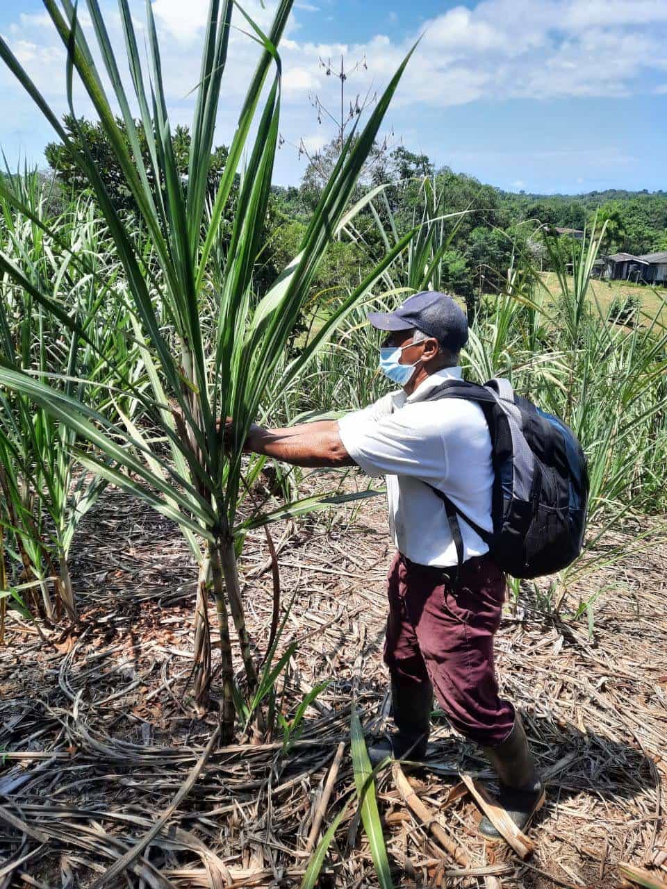 Putumayo-Ecoovida (2)