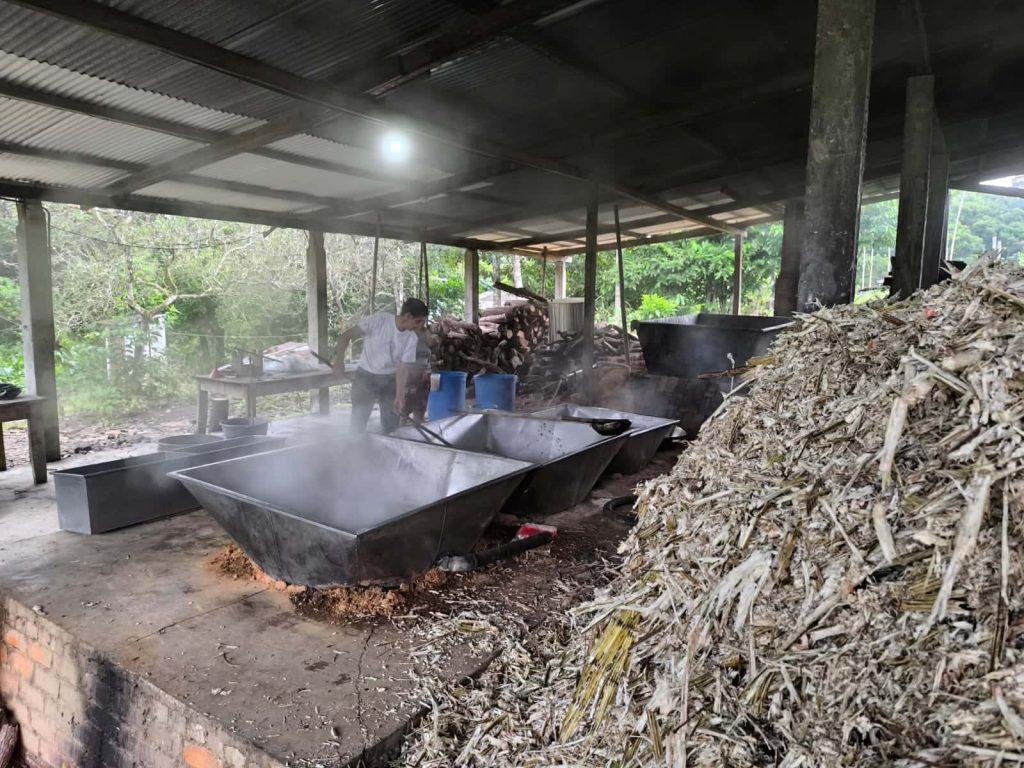 Putumayo-Ecoovida (3)