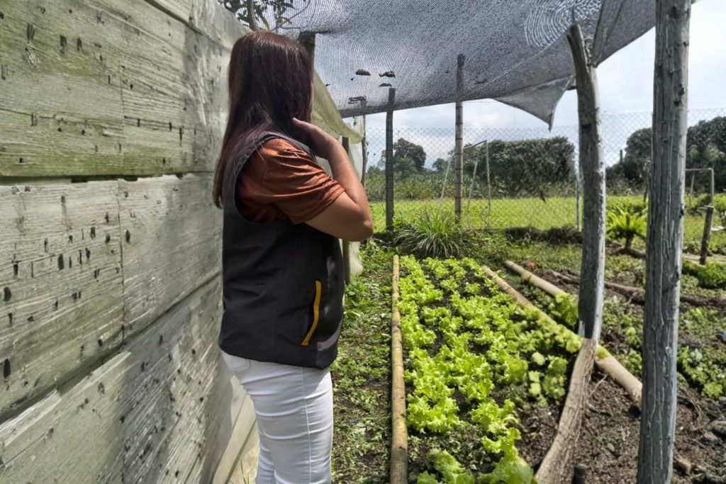 Quindio-Ecoovida (1)