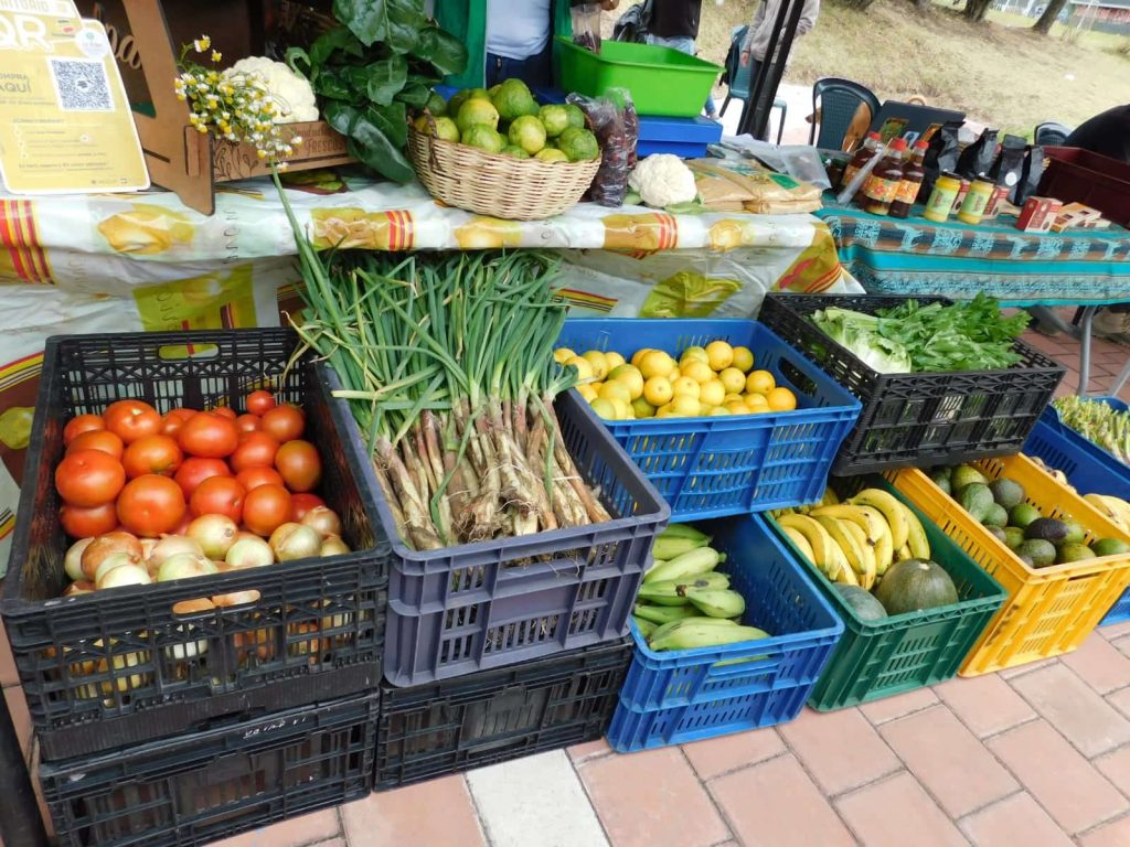 EncuentroPopular-Nariño (4)