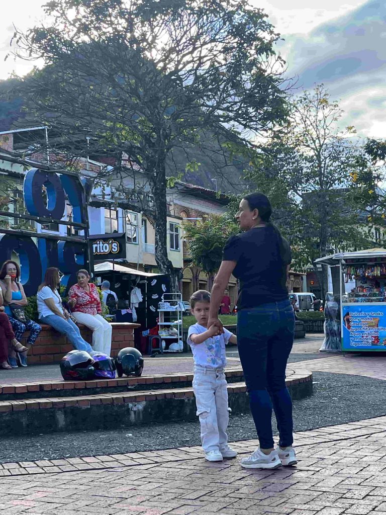 Renta Ciudadana y Devolución IVA 2