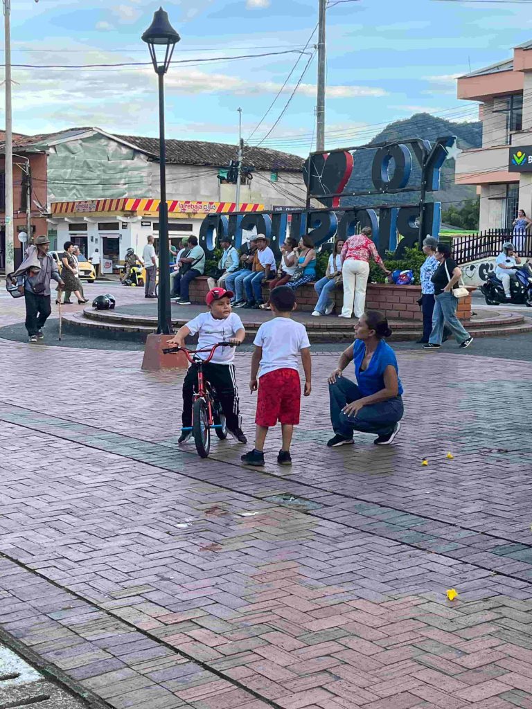 Renta Ciudadana y Devolución IVA 3