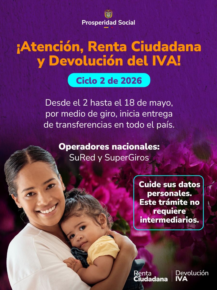 Consultar Renta Ciudadana: la historia completa — image 4