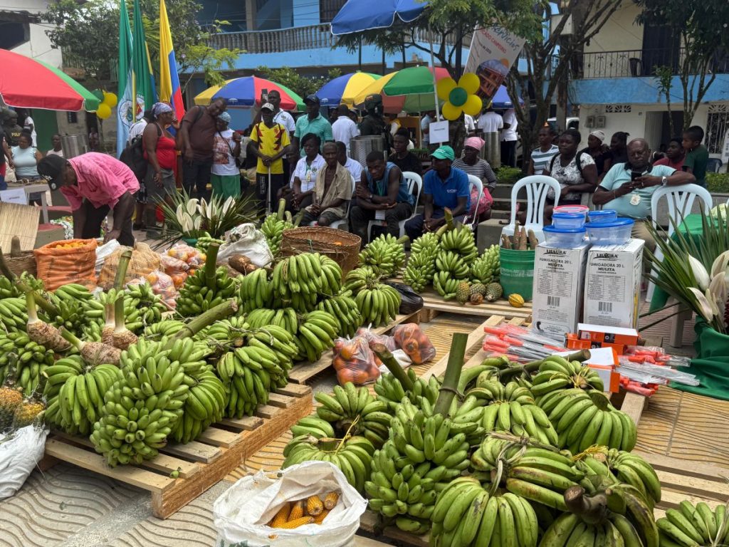 Economías para la vida - Chocó