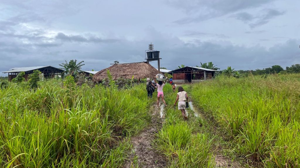 Iraca - Guaviare junio 2026