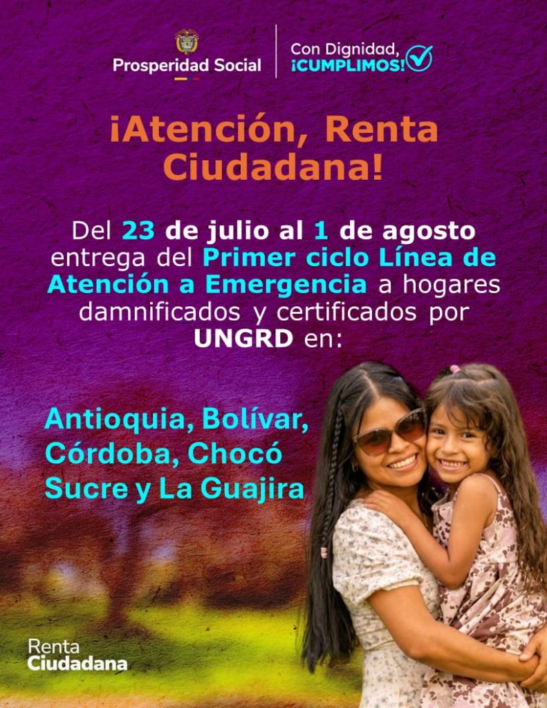 Plantilla renta ciudadana 2